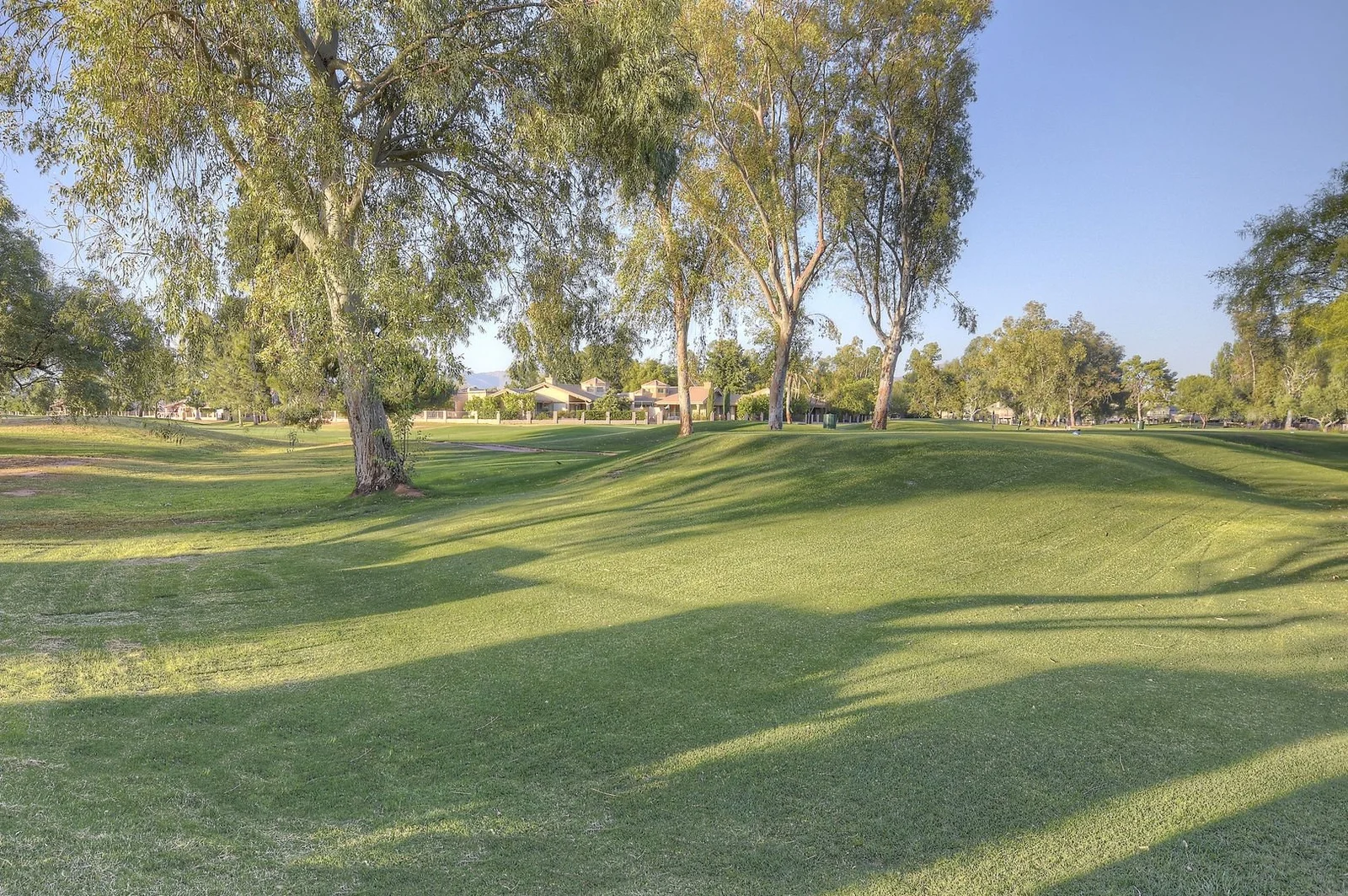 Golf course fairway lined with mature trees
