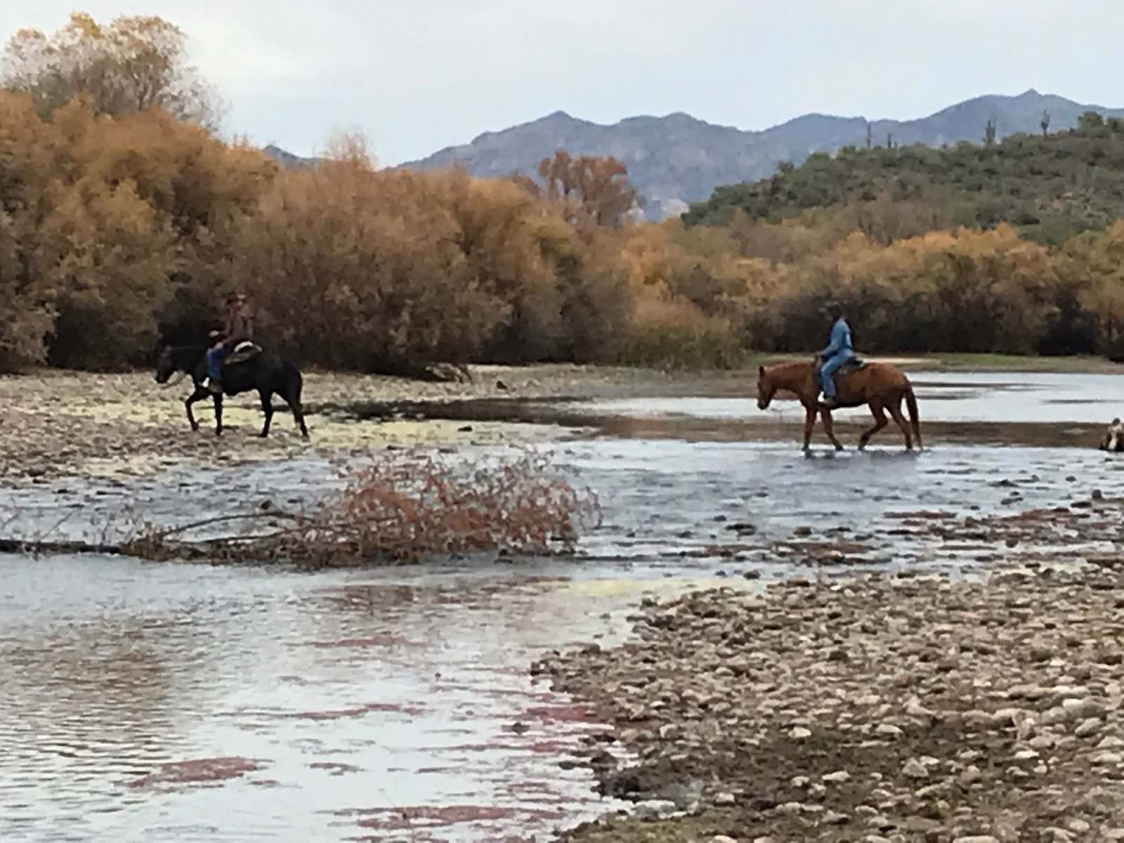 Salt River paddling
