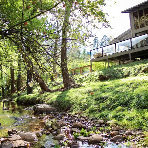 Hidden Creek Cottage - Image 1
